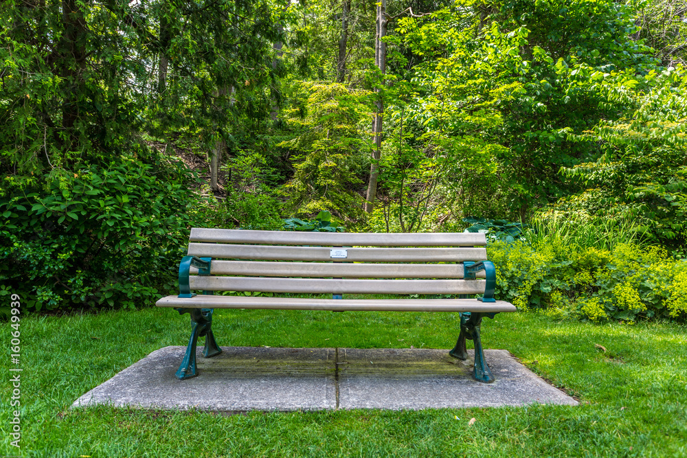 Bench in a green park 