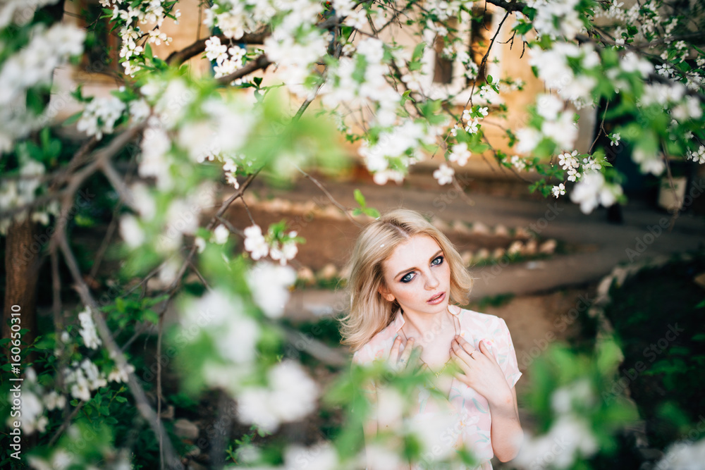 Beautiful young girl standing among the flowering trees. White flowers. Beautiful young girl standing among the flowering trees. White flowers.