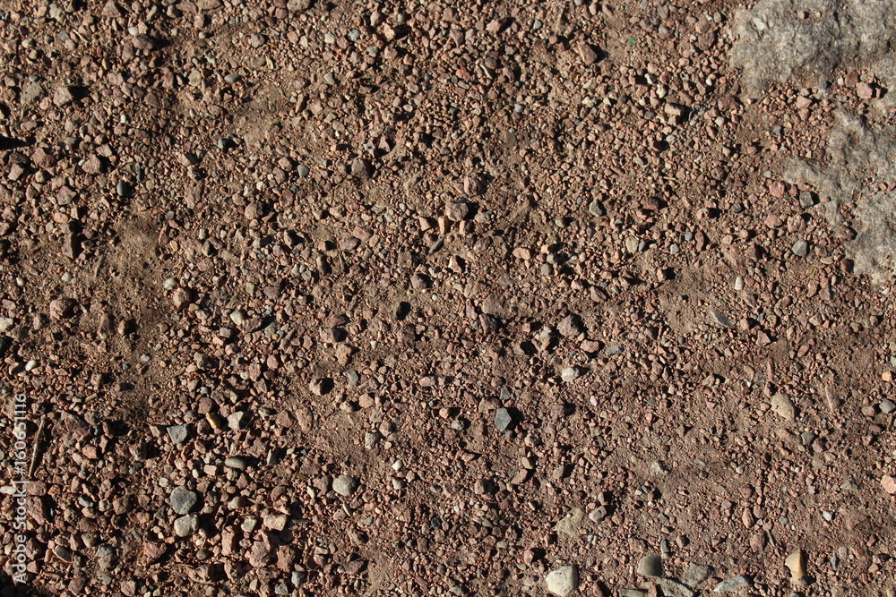 Texture nature Texture nature