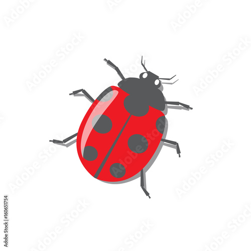 Red ladybug with shadow © photohampster