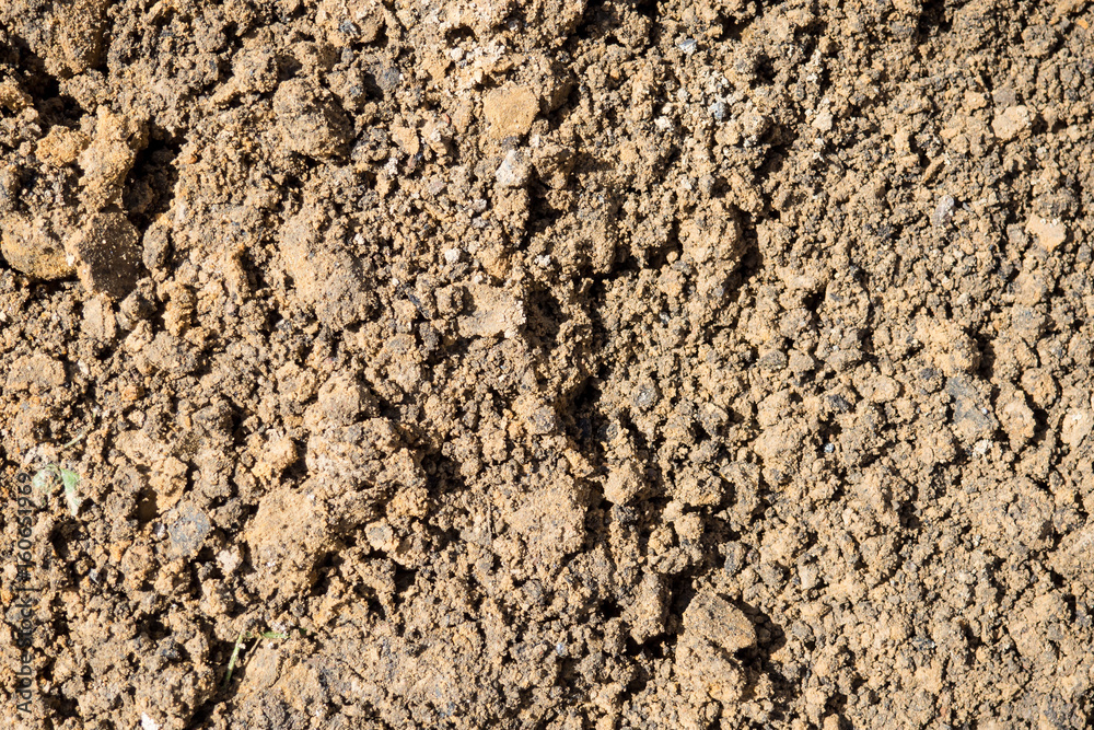 Texture is lumpy wet pit sand . The background of the industrial sand for construction works. Natural material for bricks and concrete products. Texture is lumpy wet pit sand . The background of the industrial sand for construction works. Natural material for bricks and concrete products.