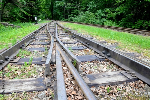 Narrow gauge railway Bieszczady forest track and attractions