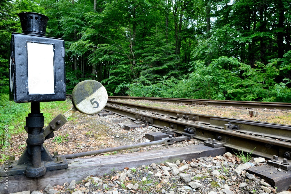Narrow gauge railway Bieszczady forest track and attractions