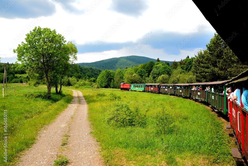 Narrow gauge railway Bieszczady forest track and attractions
