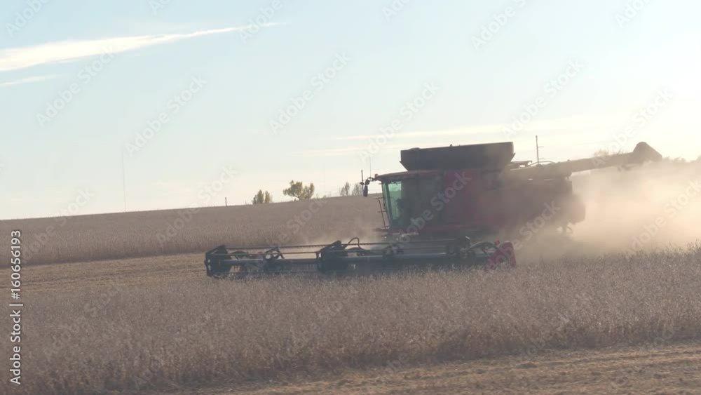 AERIAL, CLOSE UP: Flying along the combine harvester tractor working on a dusty straw field. Farmer gathering harvest cutting golden wheat crops using modern agricultural machinery on sunny autumn day AERIAL, CLOSE UP: Flying along the combine harvester tractor working on a dusty straw field. Farmer gathering harvest cutting golden wheat crops using modern agricultural machinery on sunny autumn day