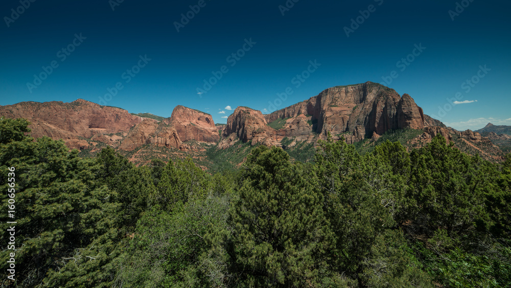 Panorama of Kolobs Canyons with Trees in the Foreground in Zion National Park, Utah on a Clear Day