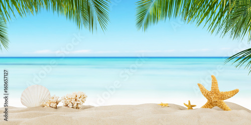 Fototapeta Naklejka Na Ścianę i Meble -  Tropical beach with sea star on sand, summer holiday background.