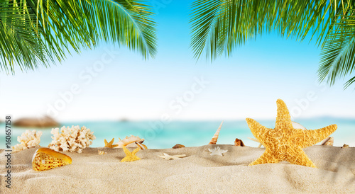 Fototapeta Naklejka Na Ścianę i Meble -  Tropical beach with sea star on sand, summer holiday background.