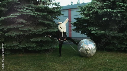 bad rabbit