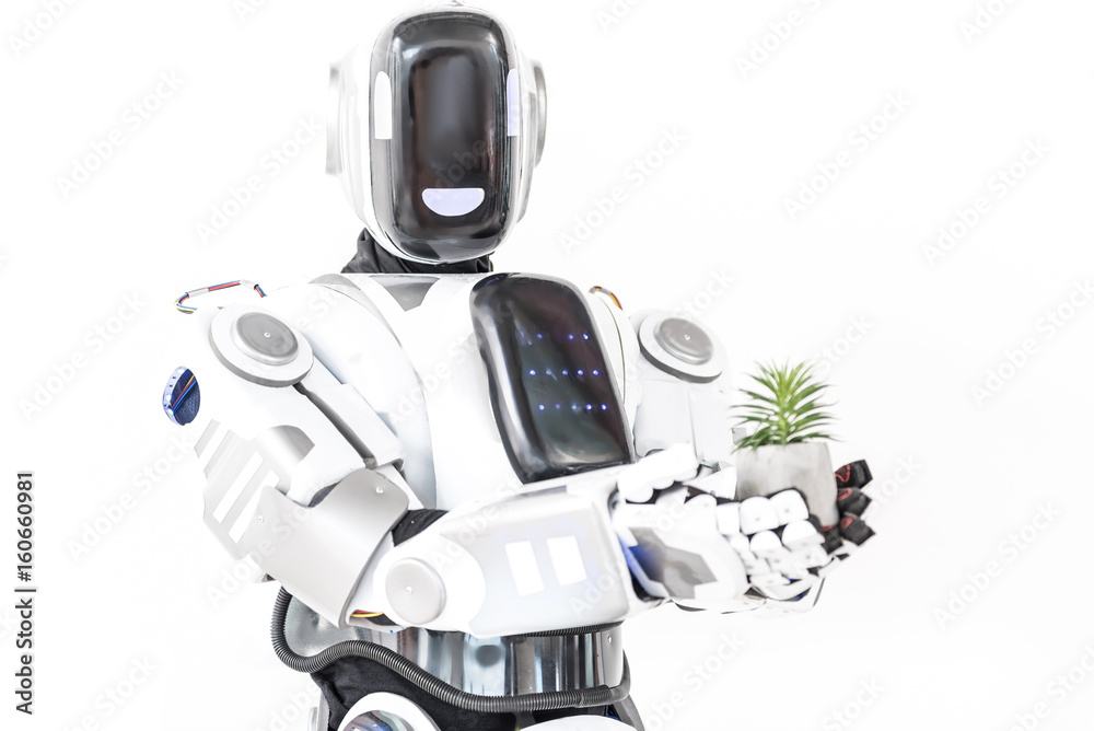 Fototapeta premium Robot keeping flowerpot with herb