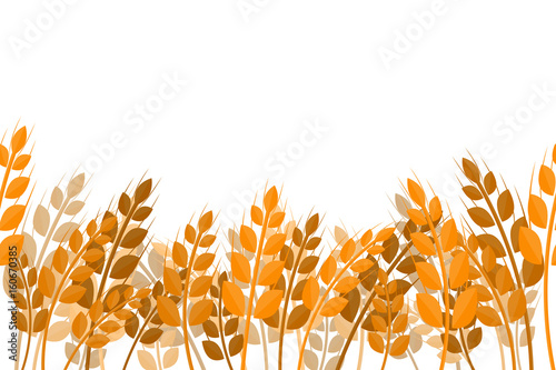Vector flat seamless pattern of wheat on the white background. Concept of bakery, organic food and harvest.