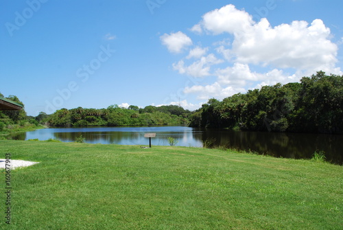 Grassy lawn with a lake in the background