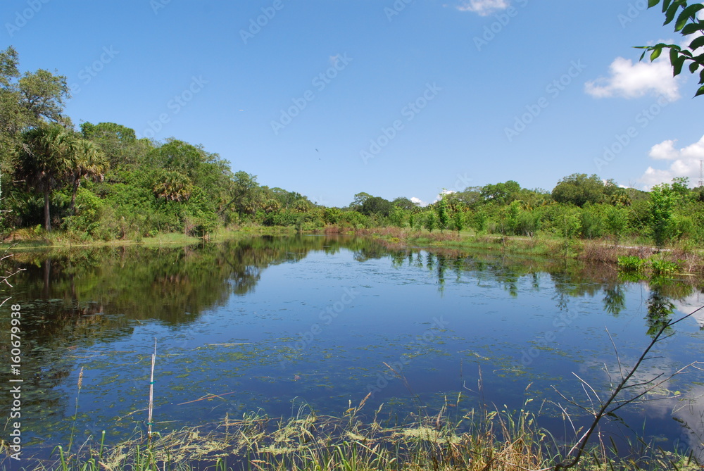 Reflective creek under a blue sky