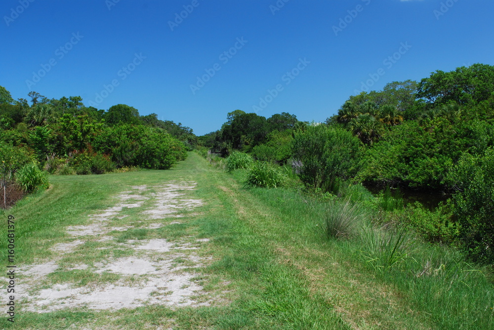 grassy path