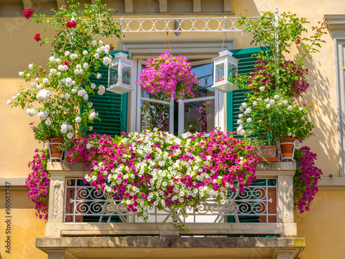 Balcony plant and flower pots garden with colored boxes nature Italian trellis
