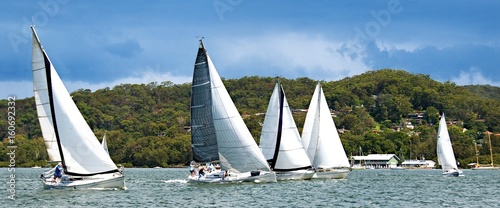 Five monohull sailing yachts racing on Brisbane Water. photo