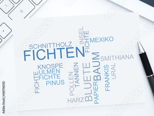 Fichten photo