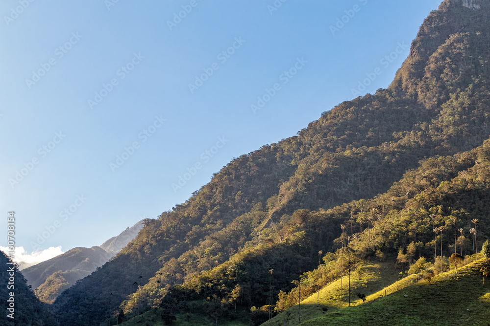 Early morning light in a valley near Salento, Colombia.