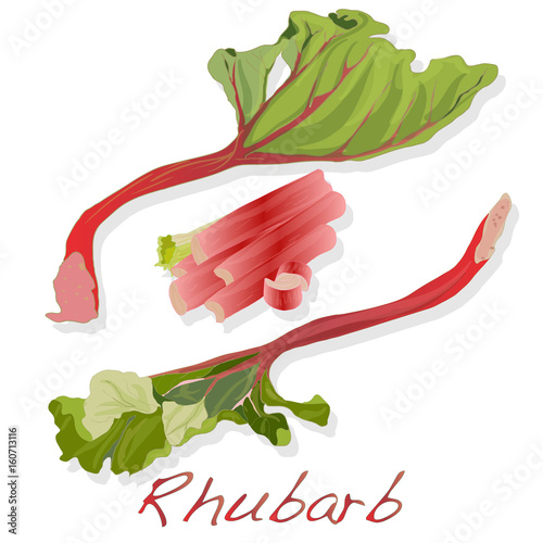 fresh rhubarb isolated on white