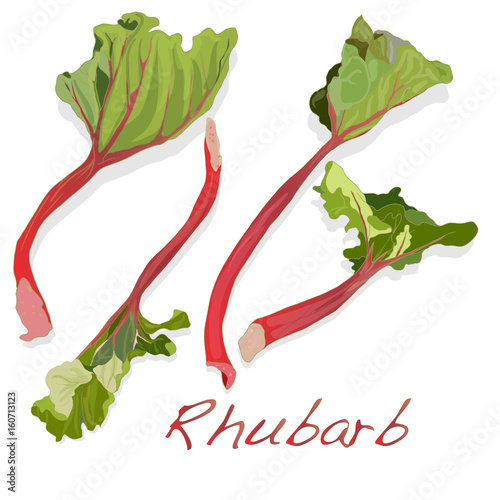 fresh rhubarb isolated on white