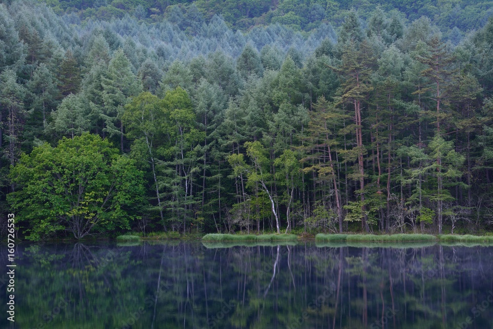 初夏の森の中の湖　-　御射鹿池
