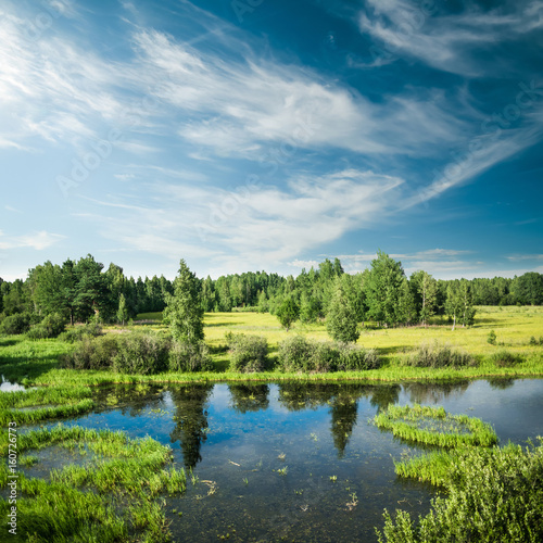 Fototapeta Naklejka Na Ścianę i Meble -  Forest and field panorama