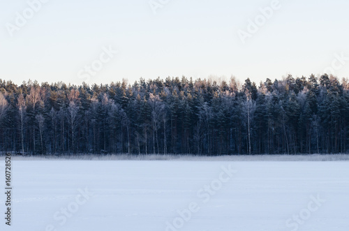 Frozen lake and forest