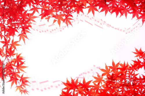 楓と譜面 © sakura