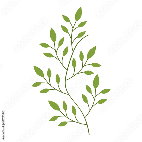 stem with leaves icon