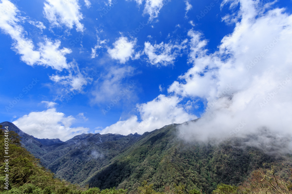 Wide angle view of clouds slowly rolling into the cloud forest near the Los Nevados National Park outside Salento, Colombia.