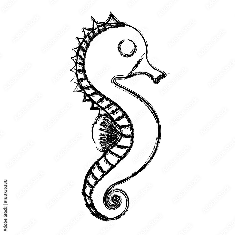 Fototapeta premium seahorse icon image