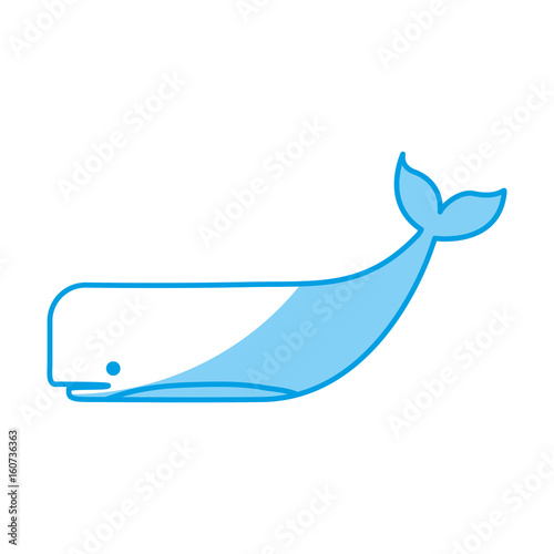 whale icon over white background vector illustration