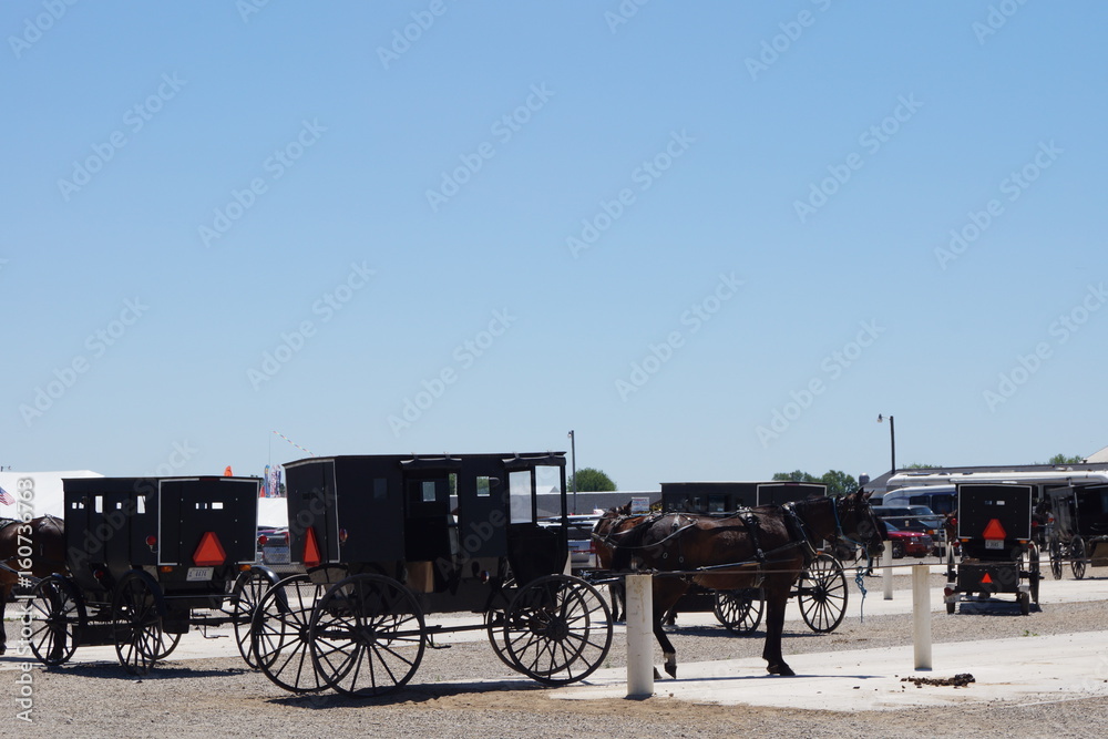 Fototapeta premium An Omish gathering