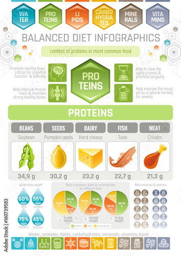 Proteins diet infographic diagram poster. Water protein lipid carbohydrate mineral vitamin flat icon set. Table vector illustration human health care, medicine chart. Food Isolated white background