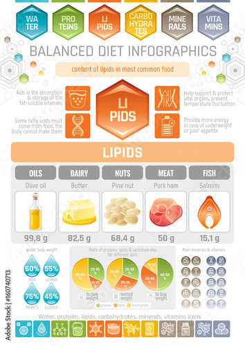 Fat lipids diet infographic diagram poster. Water protein lipid carbohydrate mineral vitamin flat icon set. Table vector illustration human health care, medicine chart. Food Isolated white background