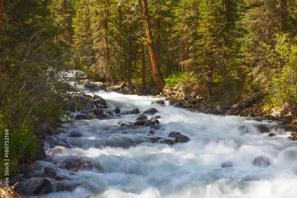 mountain river. fast stream water. Russia Altai mountain river. fast stream water. Russia Altai