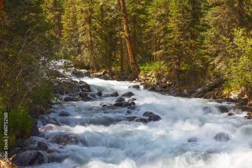 mountain river. fast stream...