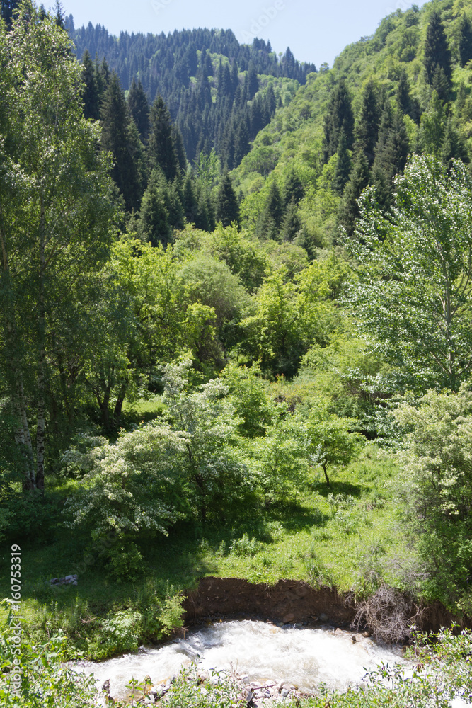 Gorge in the mountains of Tien Shan Gorge in the mountains of Tien Shan
