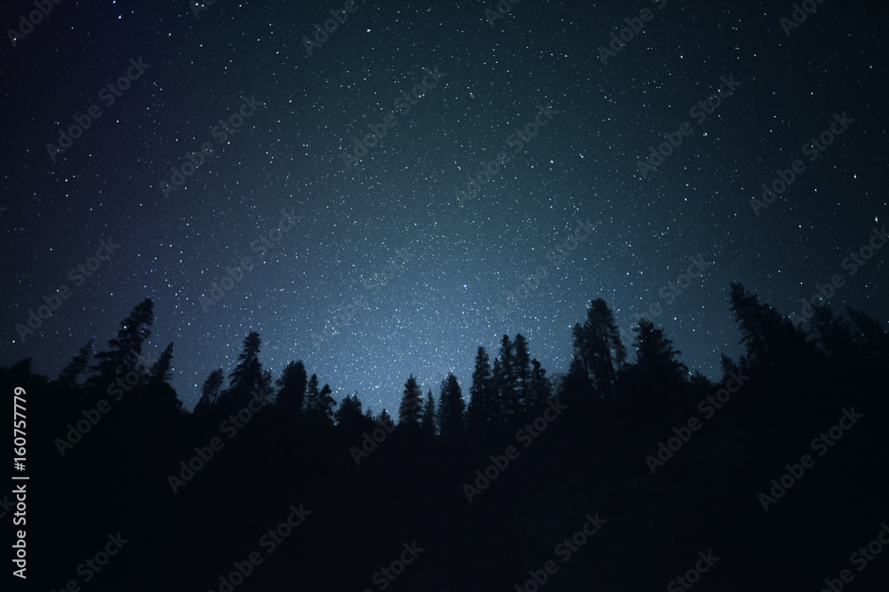 Starry Night | Night Silhouette Tree Line Stock Photo | Adobe Stock