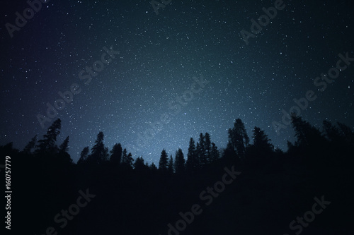 Starry Night | Night Silhouette Tree Line