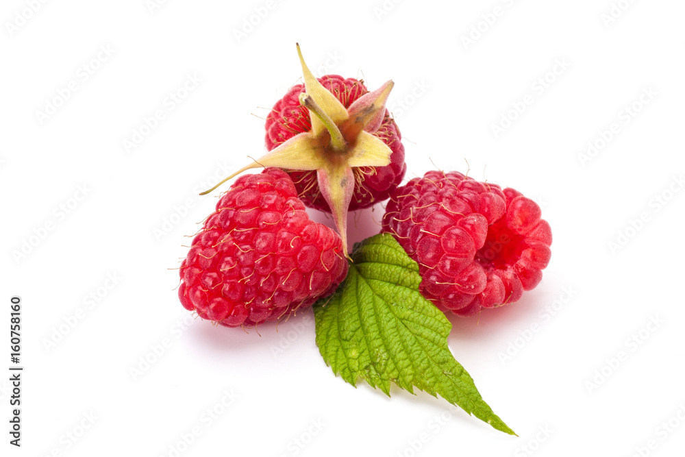 Raspberry Raspberry