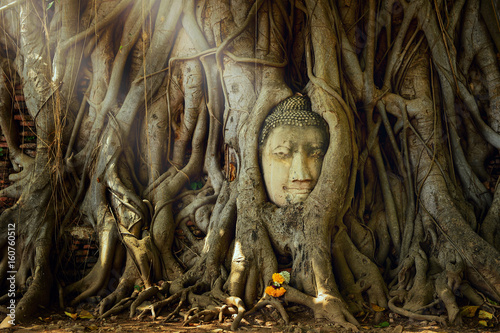 Amazing sand stone buddha head in tree root in Mahathat temple, Ayutthaya, Thailand, UNESCO,Thailand temple © saravut
