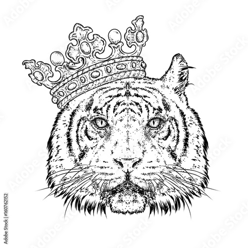 Fototapeta Naklejka Na Ścianę i Meble -  Beautiful tiger in the crown. Vector illustration for a postcard or a poster, print for clothes. Predator. Wild cat.
