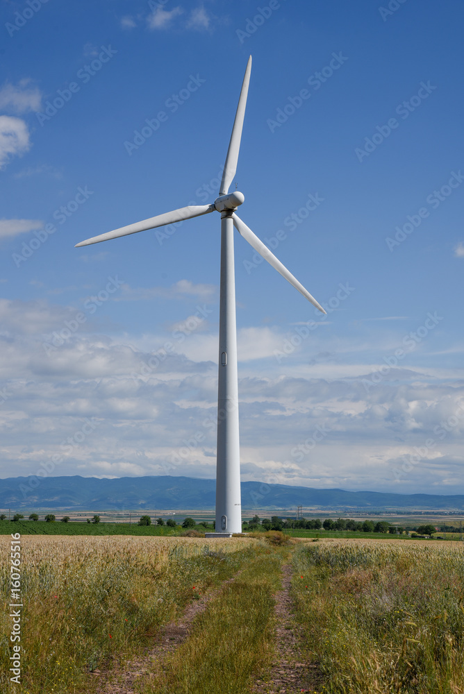 Wheat field with wind turbine in a cloudy sky