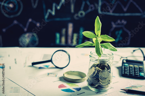 tree growing on coin in a bottle on financial chart report with magnifying glass and calculator in background, idea for business growth concept photo