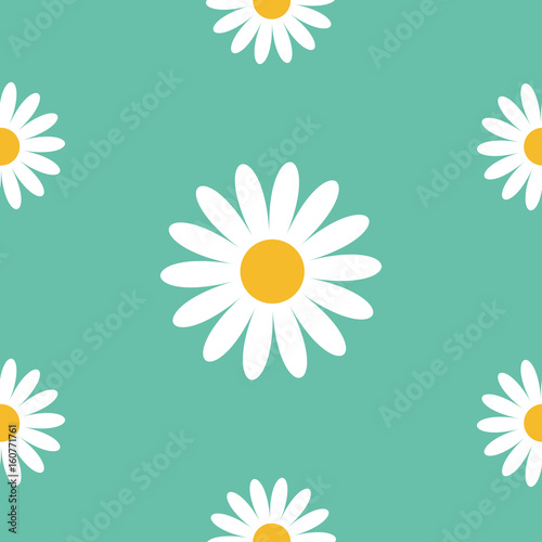 Fototapeta Naklejka Na Ścianę i Meble -  White daisy chamomile. Cute flower plant collection. Camomile icon Growing concept. Seamless Pattern Wrapping paper, textile template. Green background. Flat design.