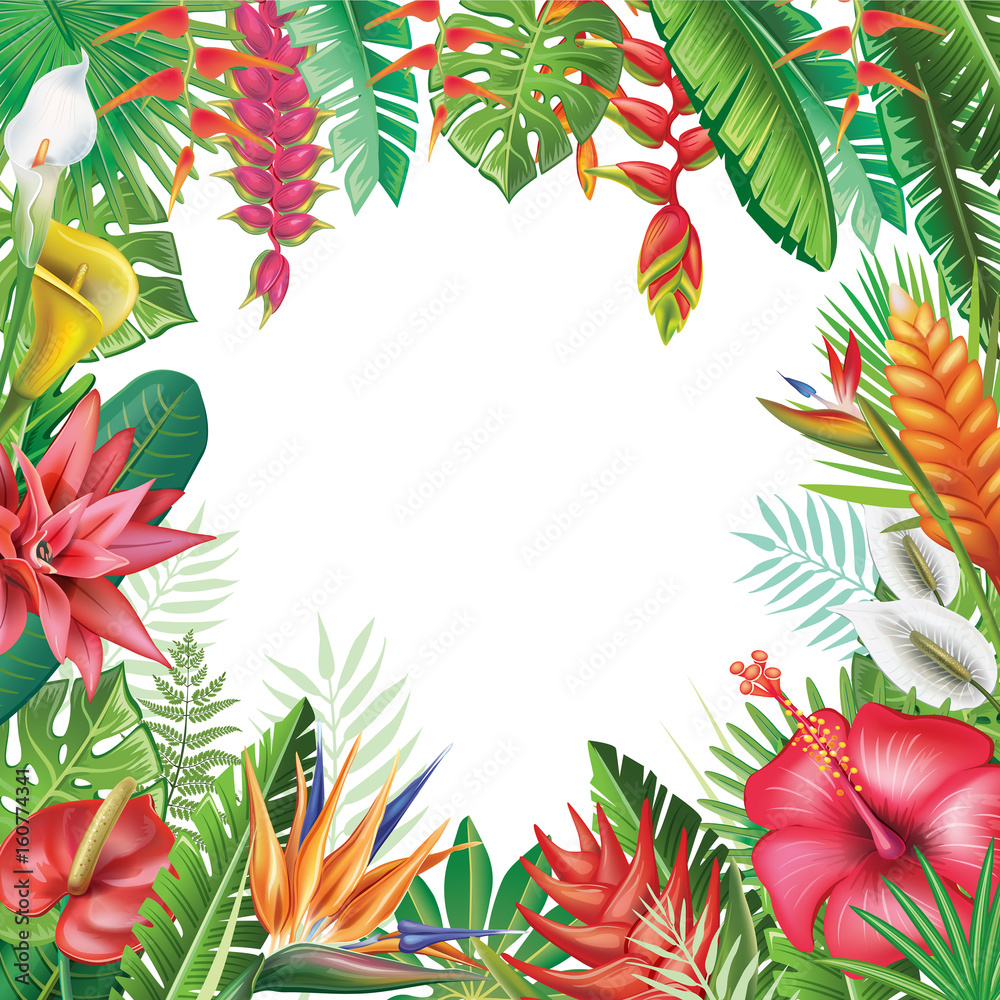 Frame from tropical plants Frame from tropical plants