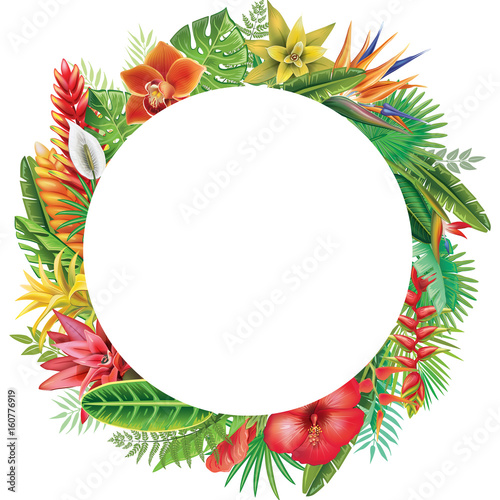 Round Frame from tropical plants