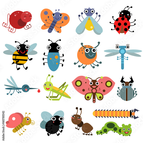 Vector illustration of insects and bugs. Characters set