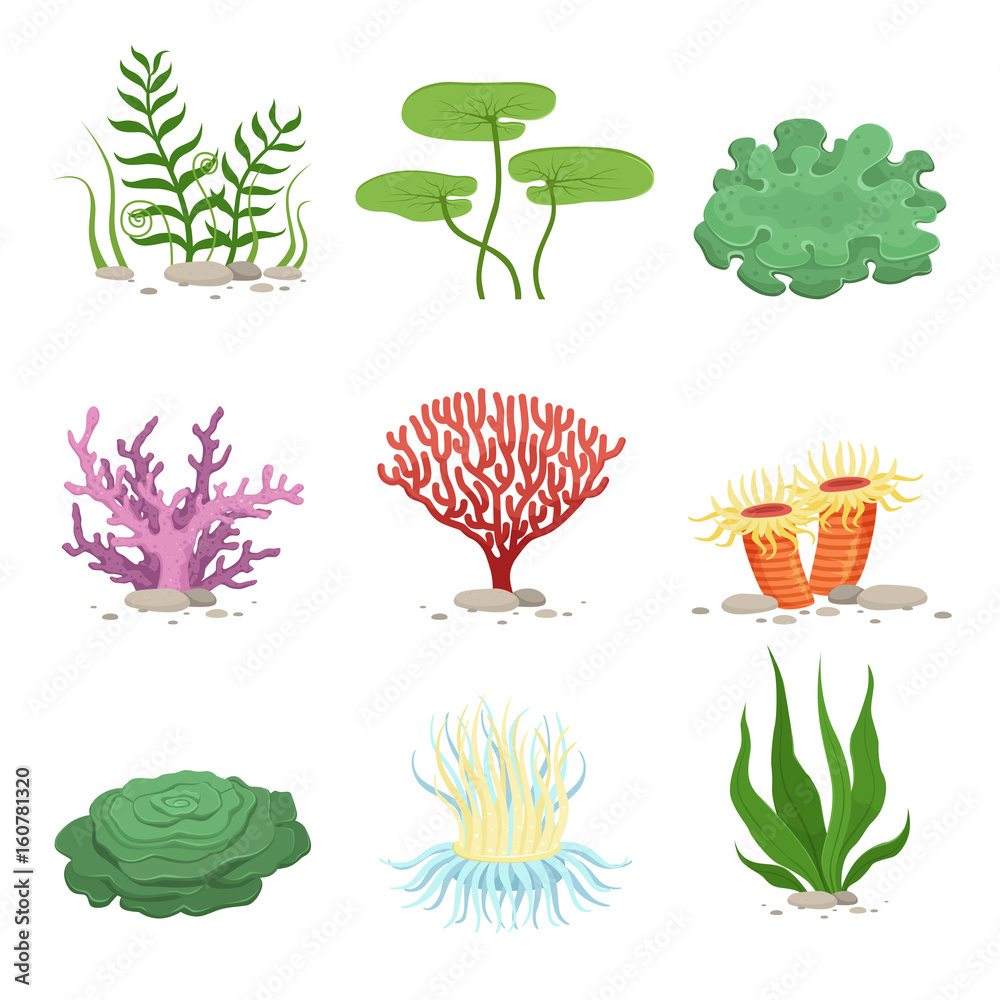 Obraz Sea aquatic fauna underwater plants and corals. Vector colorful ocean element